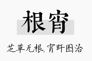 根宵名字的寓意及含义