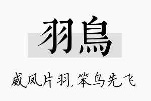 羽鸟名字的寓意及含义