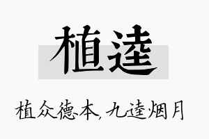 植逵名字的寓意及含义