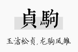 贞驹名字的寓意及含义