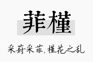 菲槿名字的寓意及含义