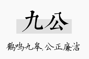 九公名字的寓意及含义