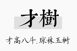 才树名字的寓意及含义