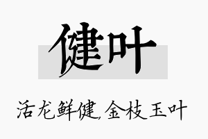 健叶名字的寓意及含义