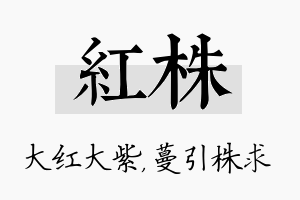 红株名字的寓意及含义