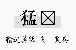 猛翀名字的寓意及含义