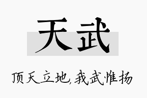 天武名字的寓意及含义