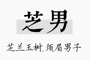 芝男名字的寓意及含义