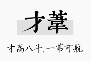 才苇名字的寓意及含义