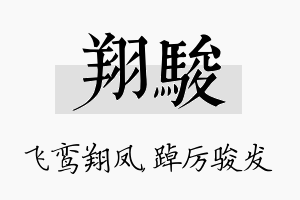 翔骏名字的寓意及含义