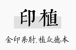 印植名字的寓意及含义