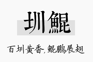 圳鲲名字的寓意及含义