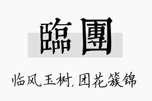 临团名字的寓意及含义