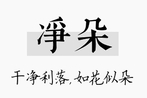 净朵名字的寓意及含义