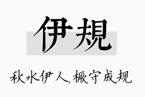 伊规名字的寓意及含义