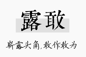 露敢名字的寓意及含义