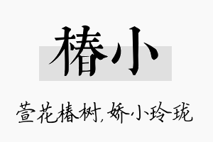 椿小名字的寓意及含义