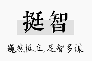 挺智名字的寓意及含义