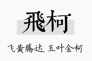 飞柯名字的寓意及含义