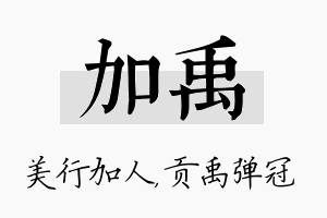 加禹名字的寓意及含义