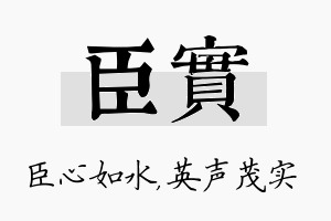 臣实名字的寓意及含义