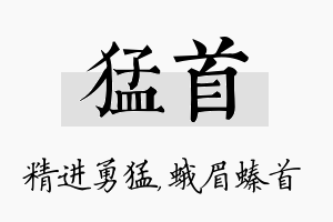 猛首名字的寓意及含义