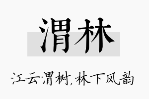 渭林名字的寓意及含义