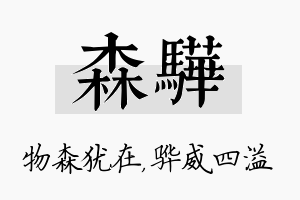 森骅名字的寓意及含义