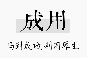 成用名字的寓意及含义