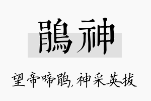 鹃神名字的寓意及含义