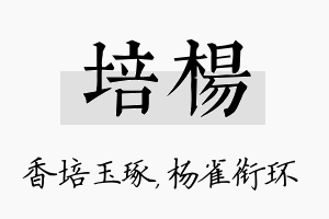 培杨名字的寓意及含义