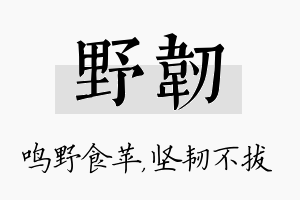 野韧名字的寓意及含义