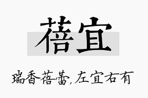 蓓宜名字的寓意及含义