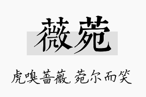 薇菀名字的寓意及含义