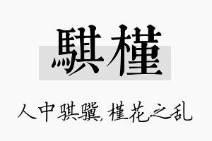 骐槿名字的寓意及含义