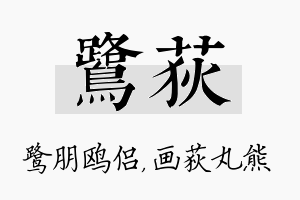 鹭荻名字的寓意及含义