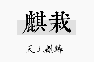 麒栽名字的寓意及含义