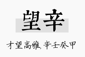 望辛名字的寓意及含义