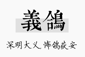 义鸽名字的寓意及含义