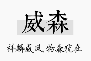 威森名字的寓意及含义