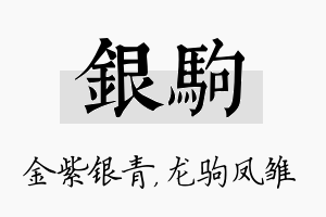 银驹名字的寓意及含义