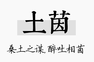 土茵名字的寓意及含义