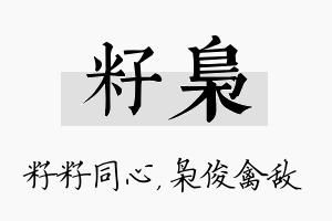 籽枭名字的寓意及含义