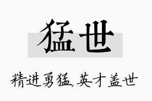 猛世名字的寓意及含义