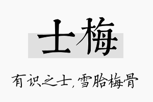 士梅名字的寓意及含义