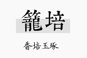 笼培名字的寓意及含义