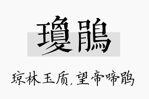 琼鹃名字的寓意及含义