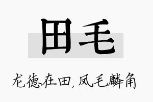 田毛名字的寓意及含义