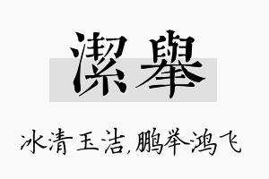 洁举名字的寓意及含义