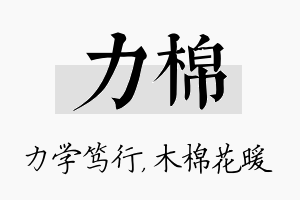 力棉名字的寓意及含义